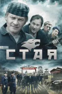 Стая  русский сериал